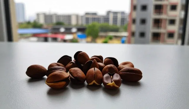 有机松鼠坚果维护:选型关注点分析